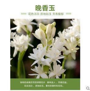 2021年惊蛰朋友圈祝福文案句子