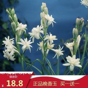 2021腊八和大寒同一天的朋友圈文案