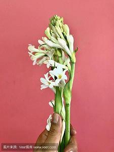 2021早安短句摘抄22句