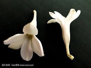 有关放弃的句子说说心情