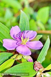 2020给微信好友拜年祝福语