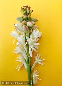 对老婆亏欠的话怎么说 表达对妻子亏欠的句子(精选51句)