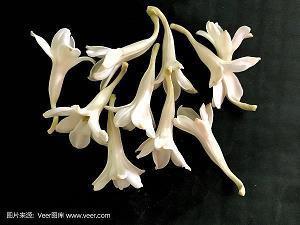 2021夏至时节朋友圈温馨的祝福语文案汇编69句