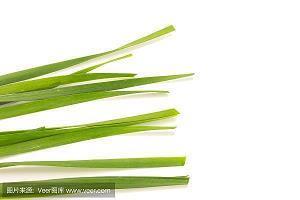 偃傲
