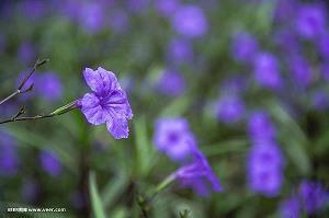 很拽的空间个性说说带图