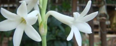 小清新励志语录唯美 简短文艺小清新文案合集81句