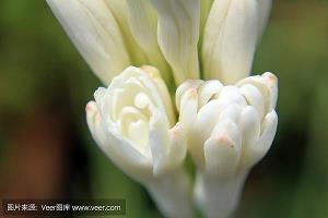 2021腊八大寒同一天的祝福语