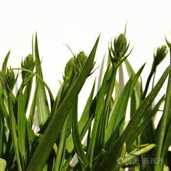 一个人的心碎一个人的流泪的句子