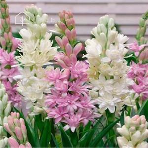 抖音上最火的爆粉文案语句