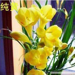 关于对未来很迷茫的说说(35句)