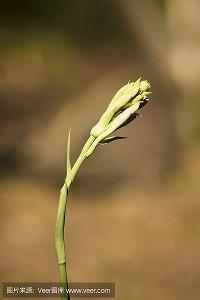 最新心情不好的句子说说(精选39句)