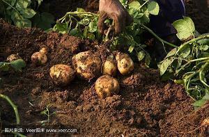 告别2020迎接2021热门句子大全