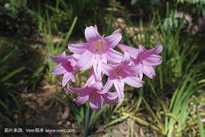 申论名言警句必背50句