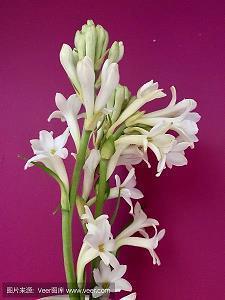 微信说说感悟语录短句子20句