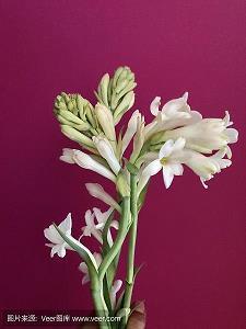 qq对生活失望的句子