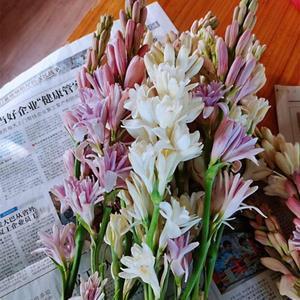 2021除夕祝福语送给朋友