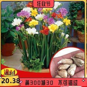 2021最新三八妇女节的唯美句子