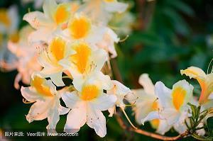 2021端午给长辈的祝福短信简短 2021端午问候语送长辈简短