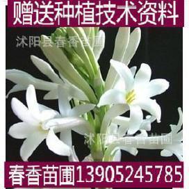 拥舍