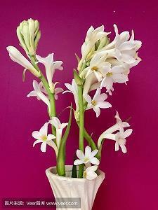 安慰情人的话语