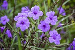 最经典的说说一句话