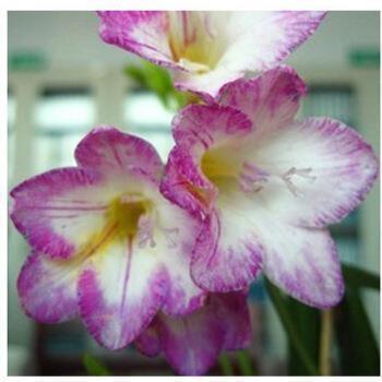 最新霸气说说48句