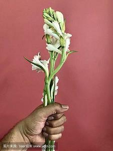 形容乌镇唯美句子简短 一句话赞美乌镇