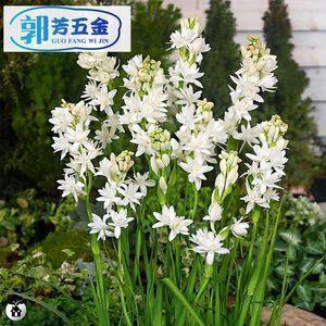 关于失恋的伤感说说精选80句