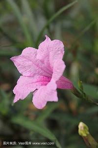 堕落颓废的说说短句