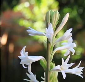 2020中秋节给同学的祝福语