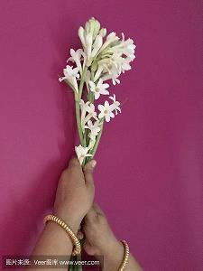 一生只爱一个人的句子