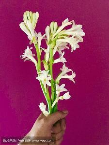 芒背