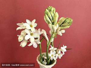 国庆开心快乐的说说句子