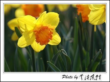 2021年正月初六朋友圈微信祝福语