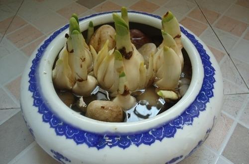 说导