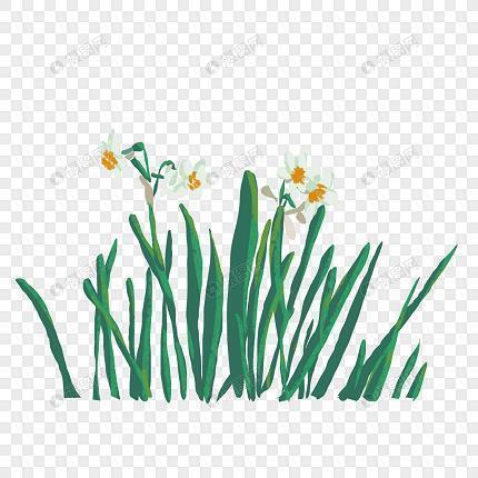 2021女生节发朋友圈句子 2021女生节适合发朋友圈的句子