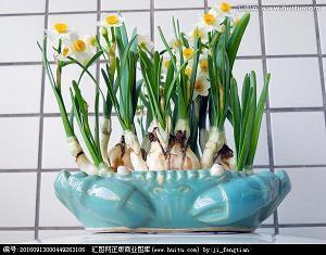2021教师节发朋友圈的句子汇总77句