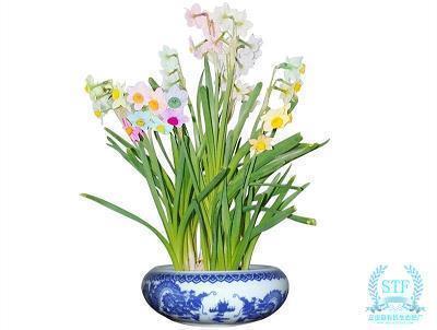 2021端午节公司领导给员工祝福寄语汇编73句