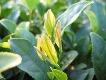 2021最新重阳节横幅标语简短(精选63条)