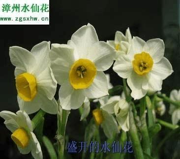 对生活对人失望的句子