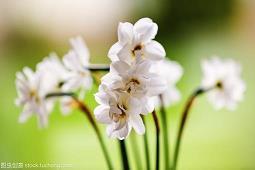 关于面对疫情抗击疫情的句子说说 抗击病毒的正能量语句