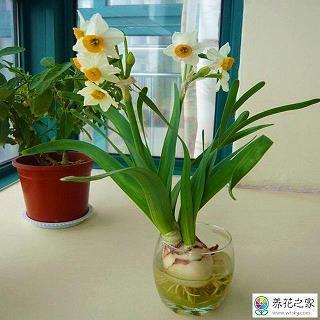 朋友圈想写早产的说说句子 关于宝宝早产的心情说说(精选16句)