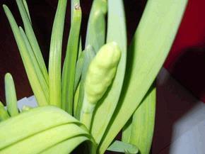 2020给老人的生日祝福语