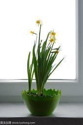 关于qq留言的开心句子