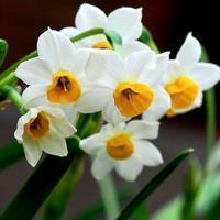 头疼发个朋友圈写心情短语汇总33句