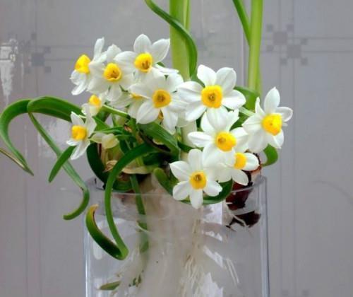 励志小句子(79句)