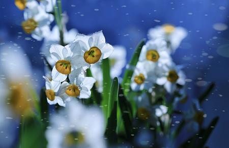 对亲情失望的句子说说心情