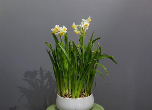 2021小寒适合发朋友圈的简短说说 小寒节气祝福语简短一句话2