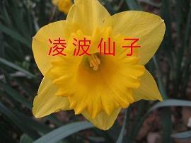 最新萌妹子朋友圈说说甜甜的 有点逗有点甜的说说