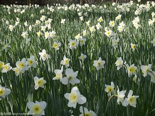 2020元宵节给上级的祝福短信